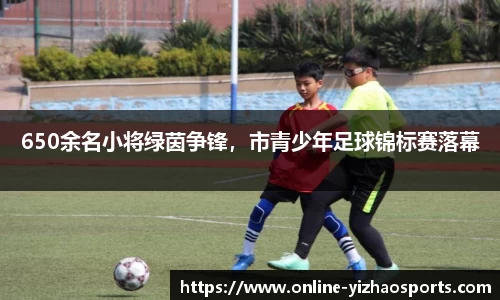 650余名小将绿茵争锋，市青少年足球锦标赛落幕
